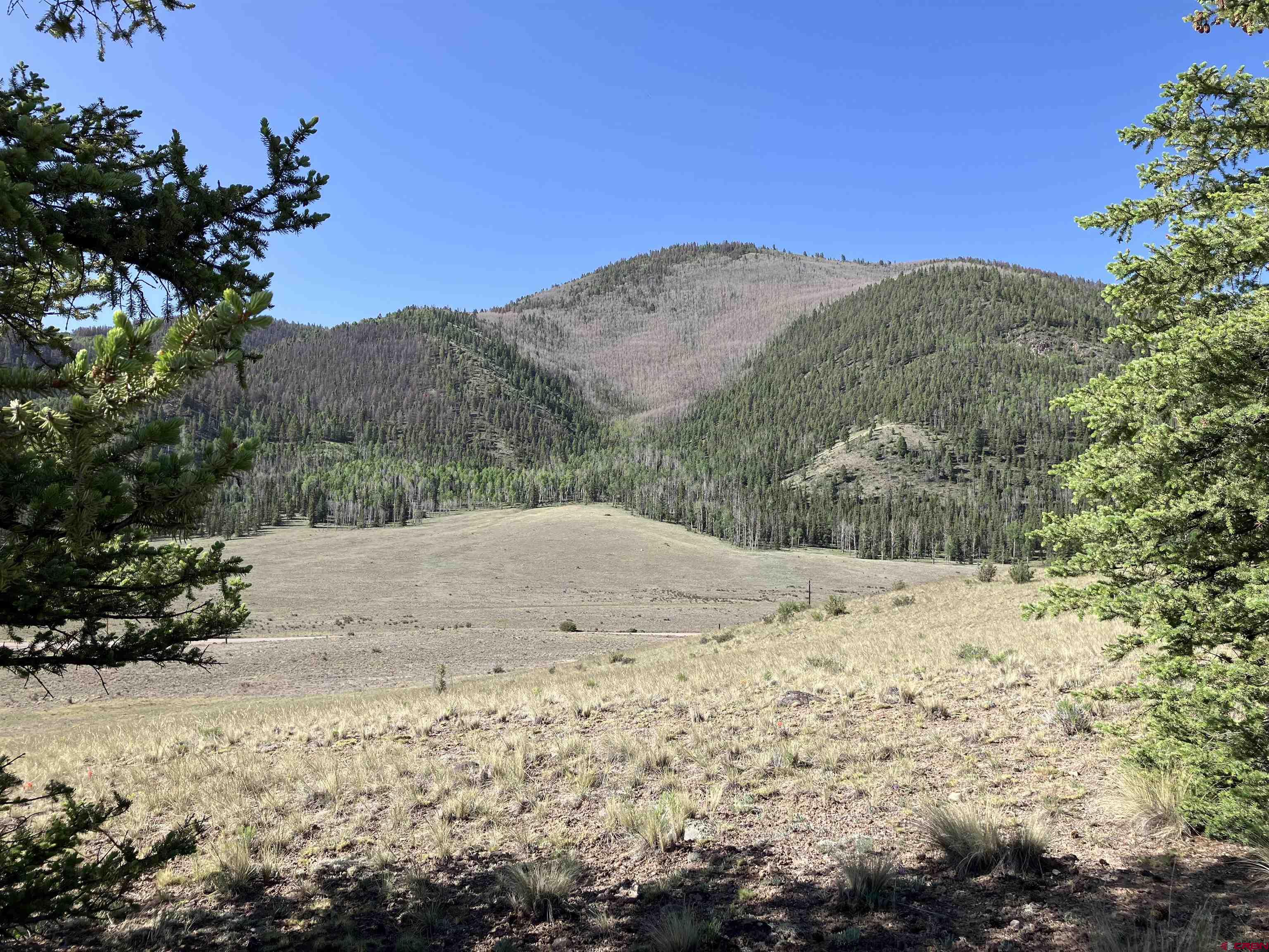 442 Deep Creek Road Creede, CO 81130 - Photo 14 of 45 a view of a dry yard with green space