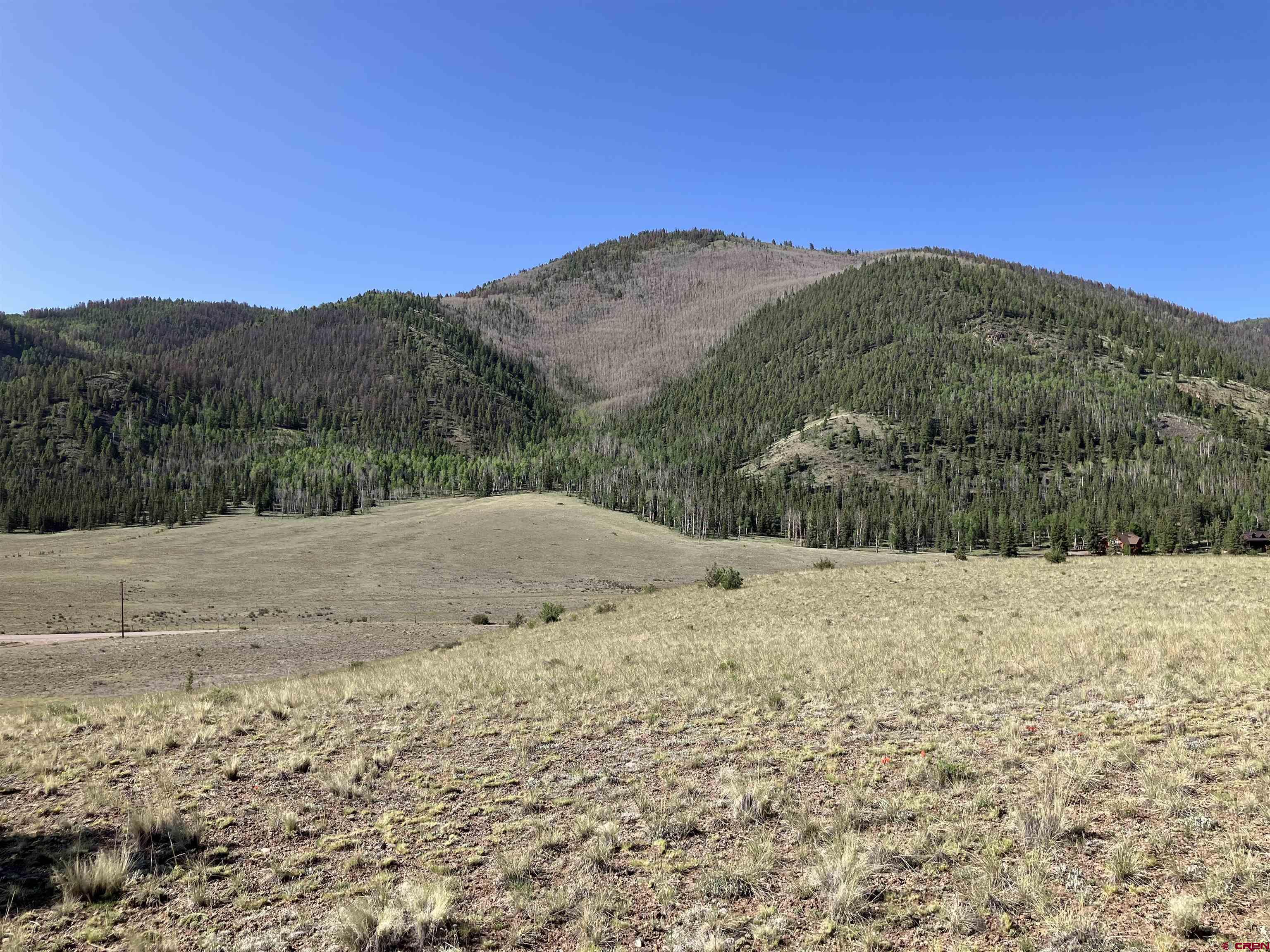 442 Deep Creek Road Creede, CO 81130 - Photo 2 of 45 a view of a dry yard