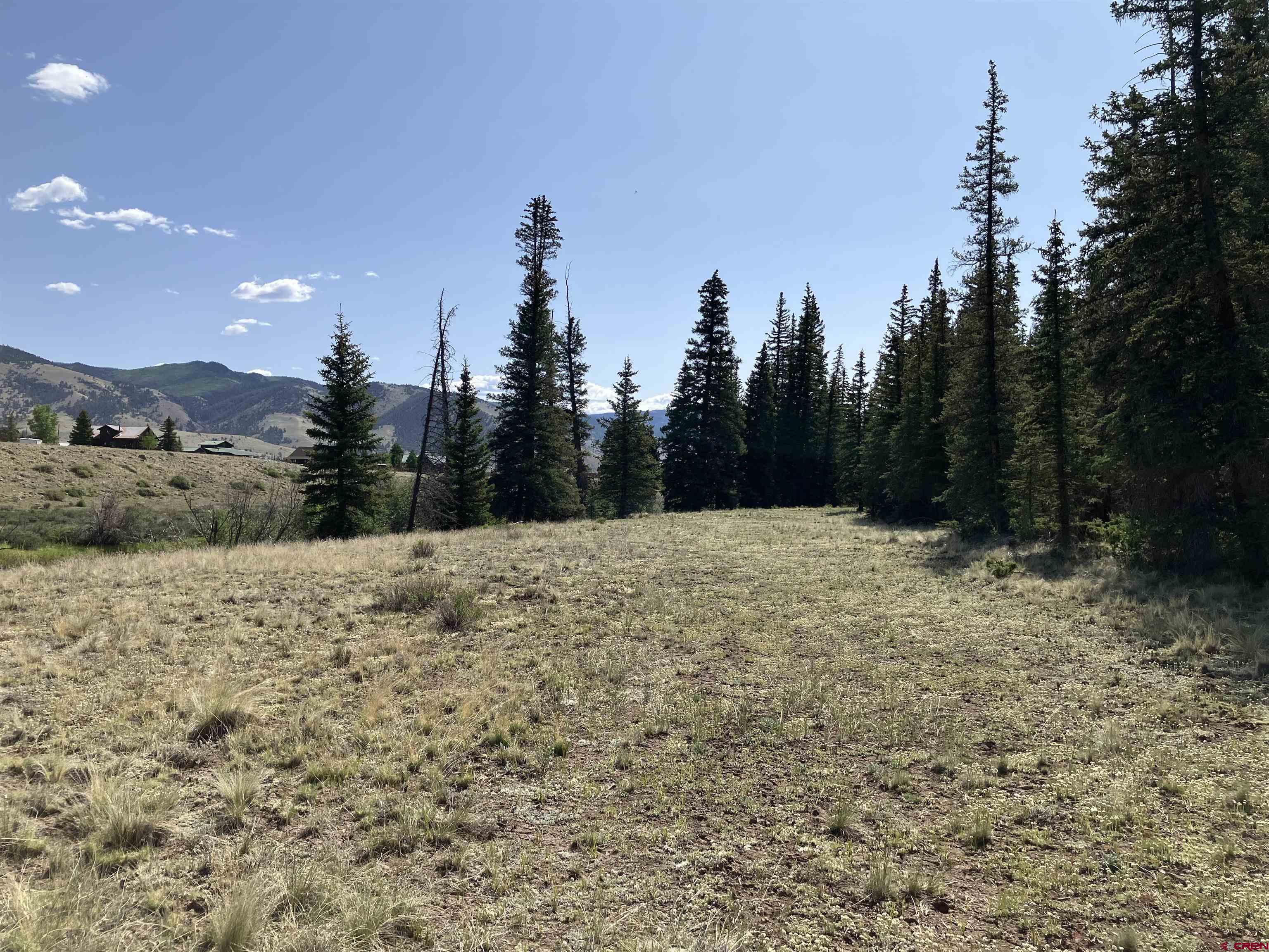 442 Deep Creek Road Creede, CO 81130 - Photo 26 of 45 a view of a dry yard with trees