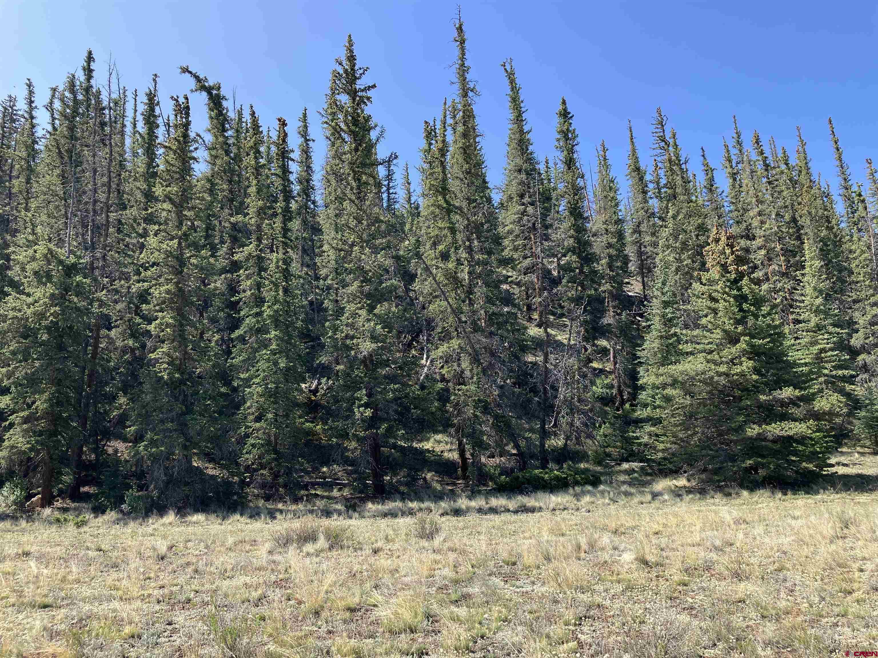 442 Deep Creek Road Creede, CO 81130 - Photo 29 of 45 a view of a covered with snow