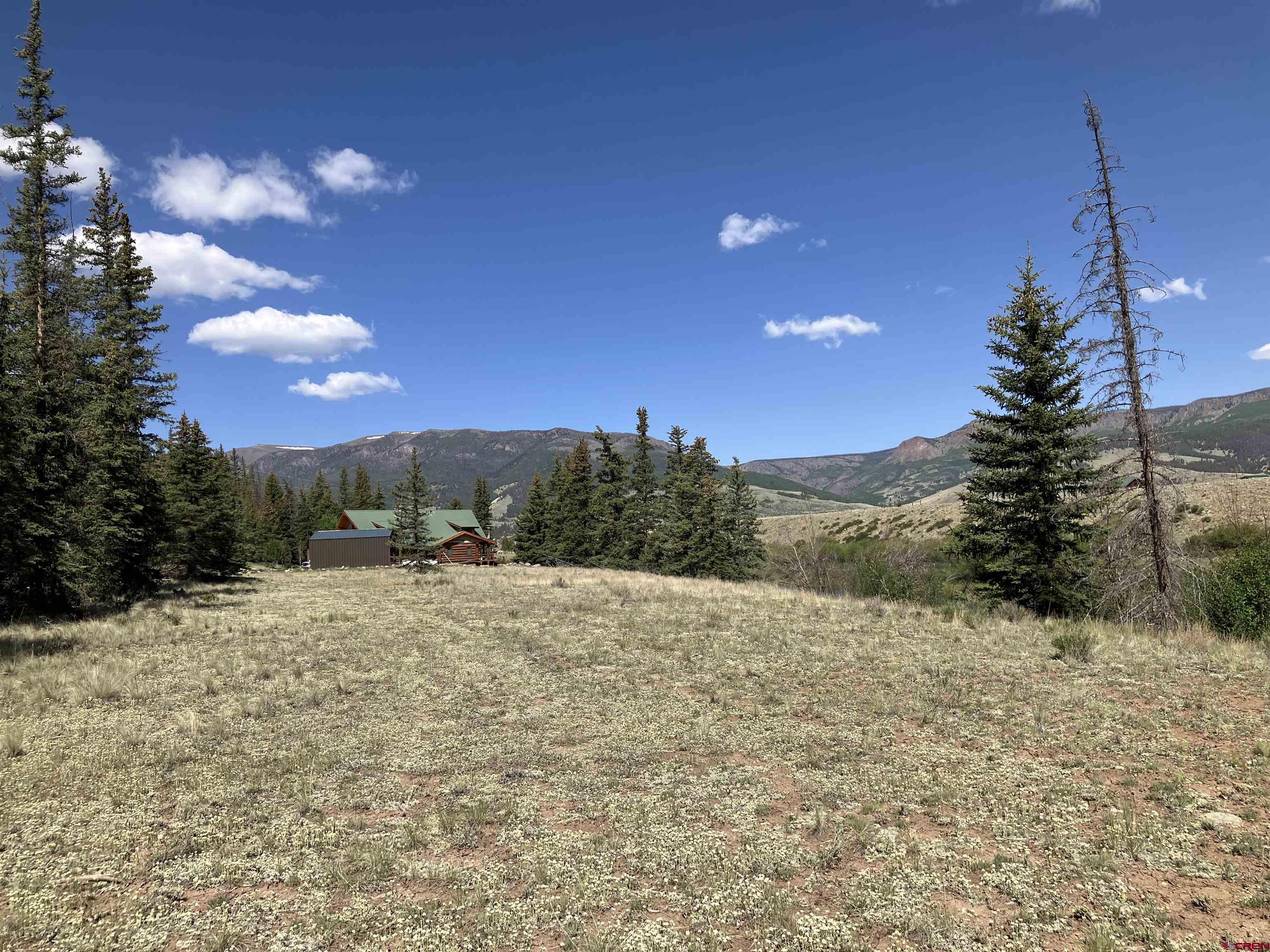442 Deep Creek Road Creede, CO 81130 - Photo 3 of 45 a view of a dry yard with a tree