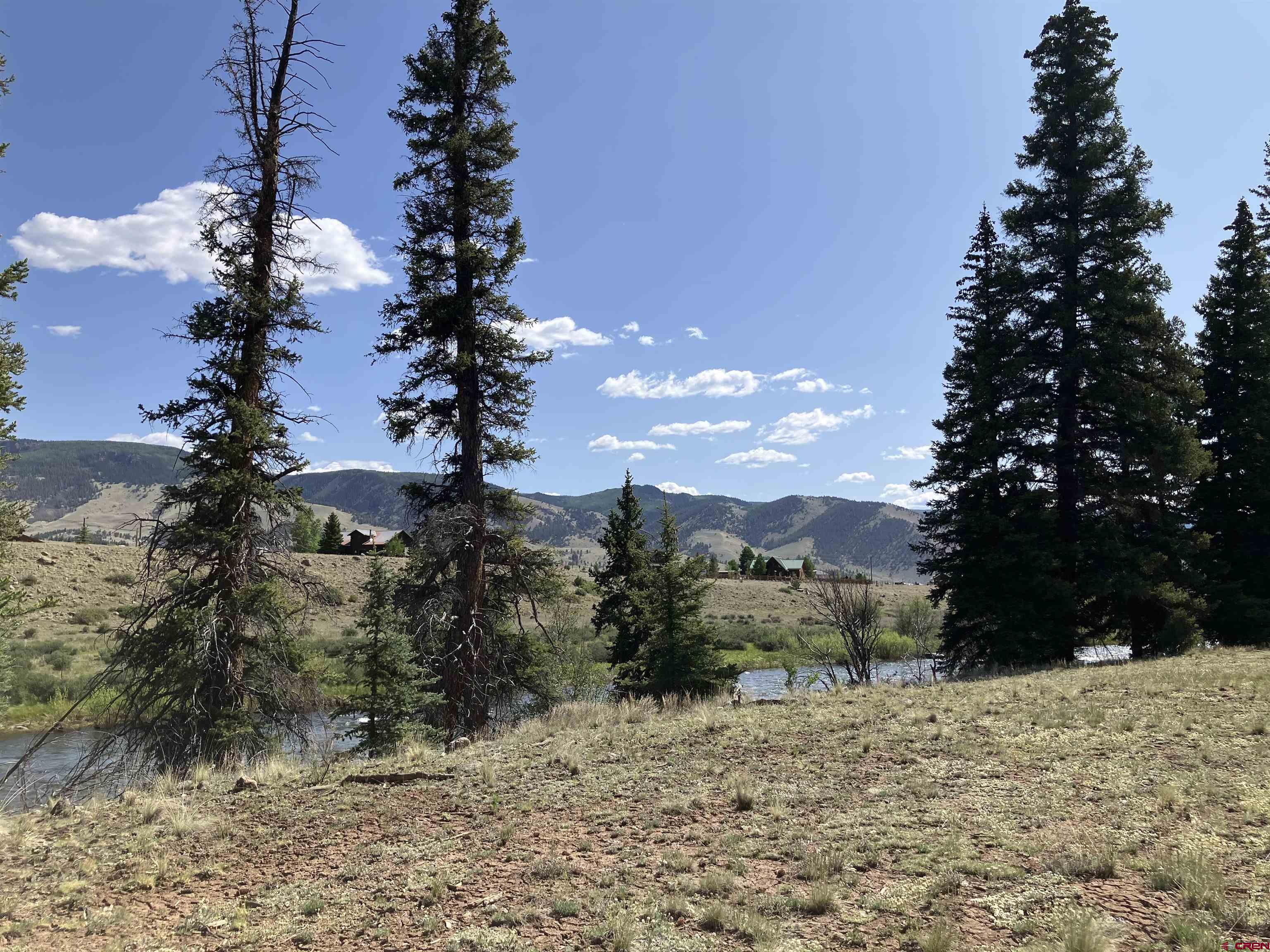 442 Deep Creek Road Creede, CO 81130 - Photo 31 of 45 a view of a yard with a tree