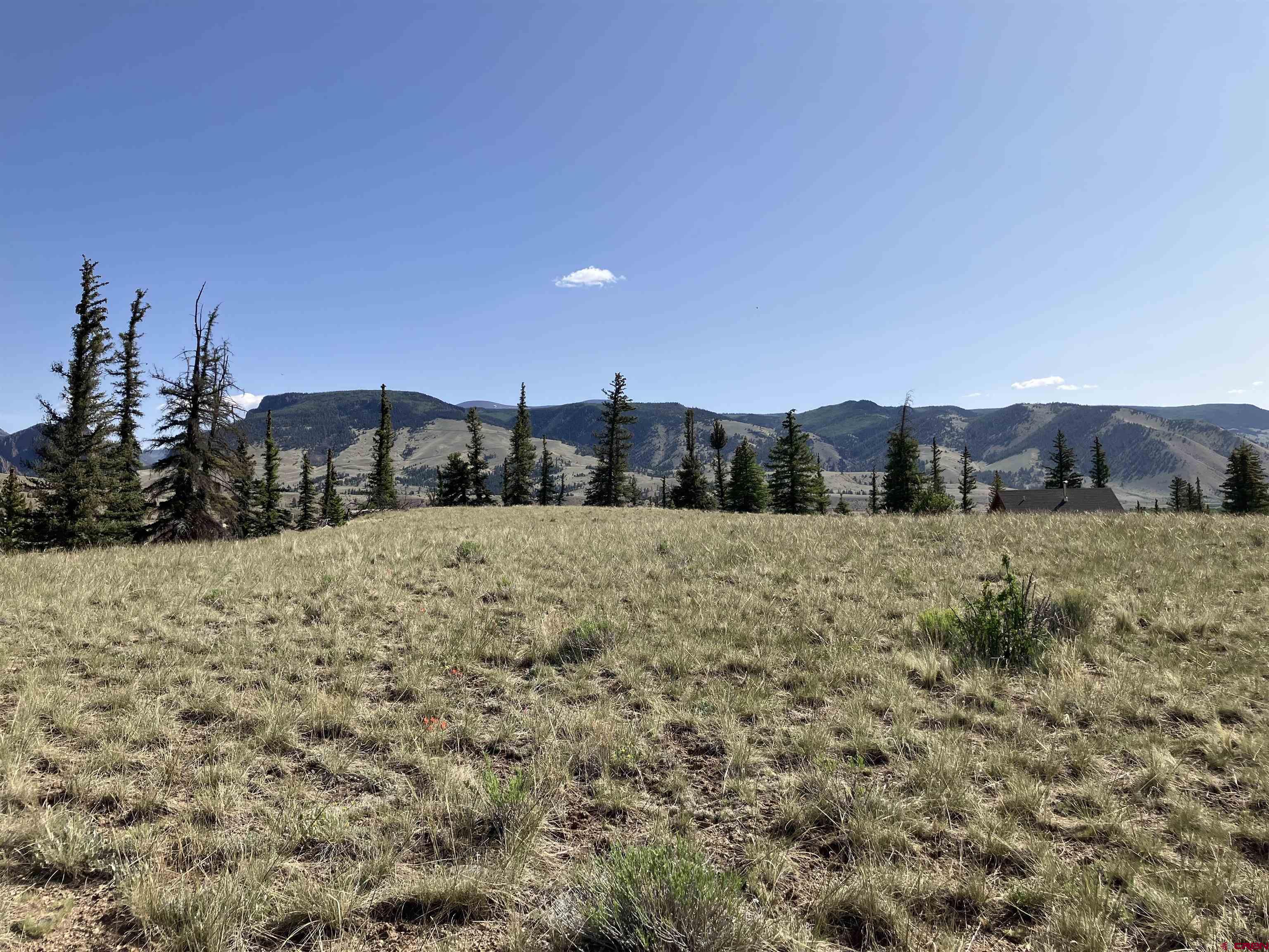 442 Deep Creek Road Creede, CO 81130 - Photo 34 of 45 a view of outdoor space and yard