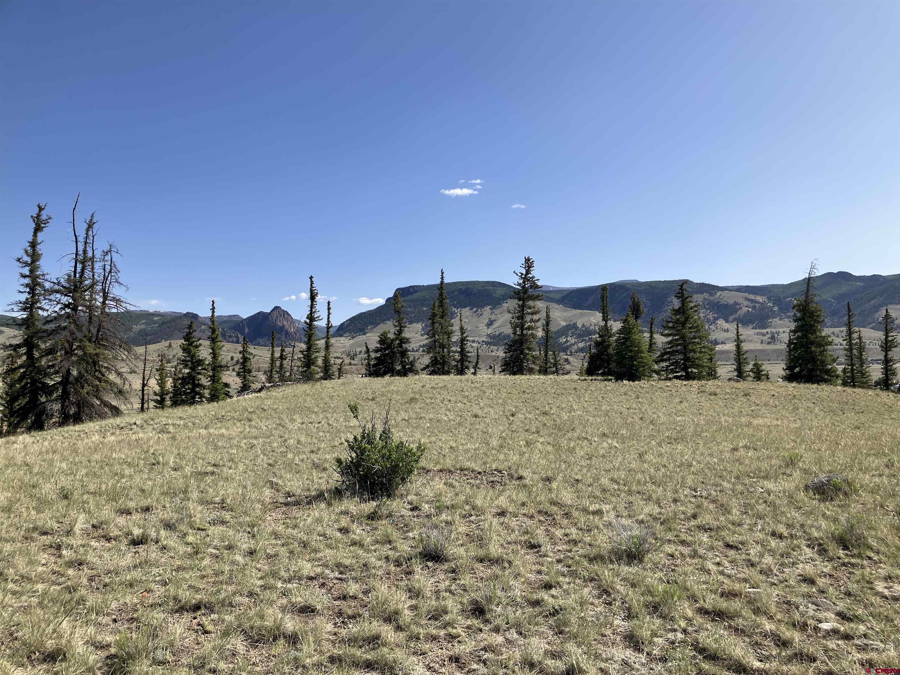 442 Deep Creek Road Creede, CO 81130 - Photo 36 of 45 a view of a dry yard
