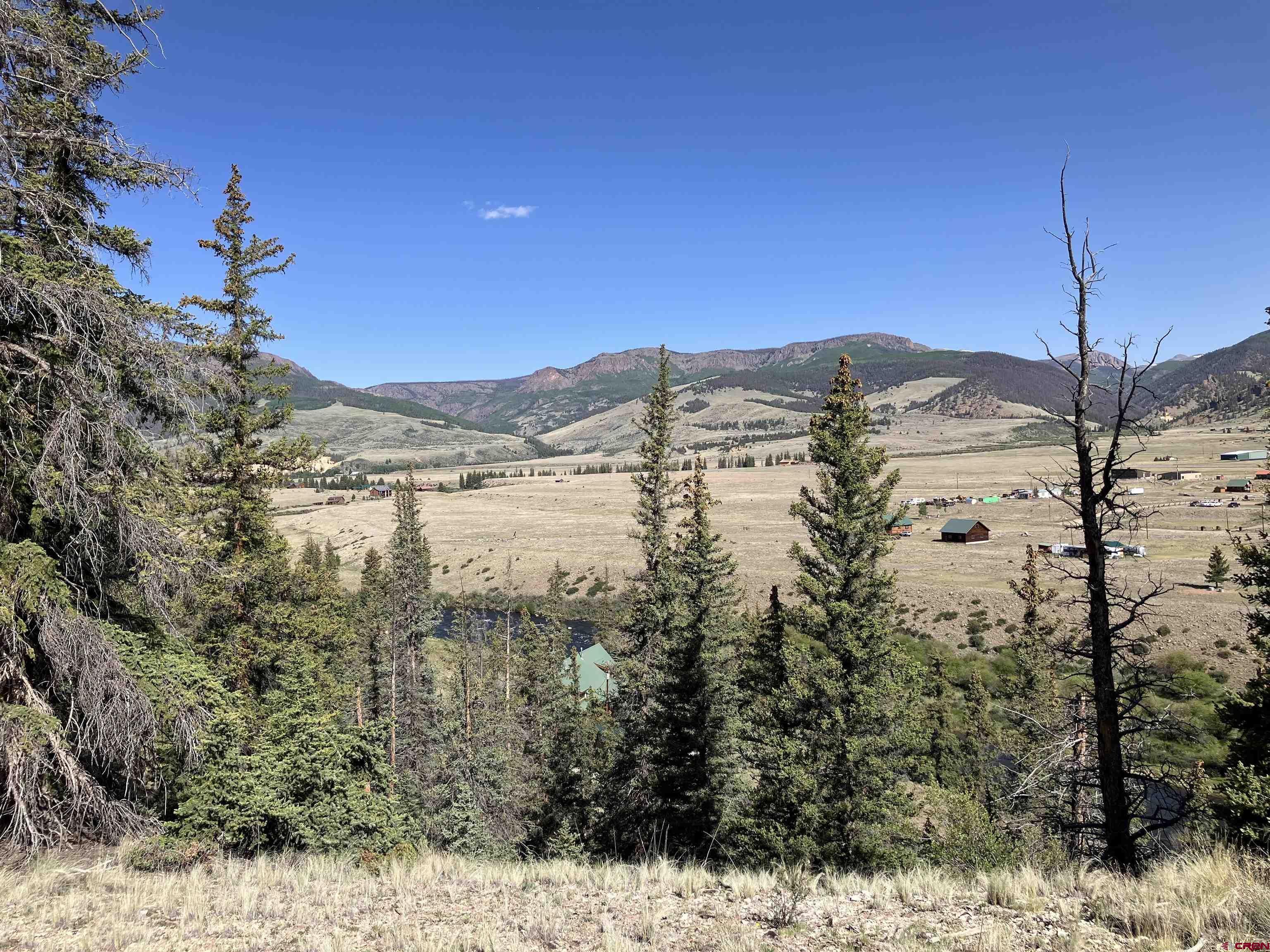442 Deep Creek Road Creede, CO 81130 - Photo 40 of 45 a view of a yard with a tree