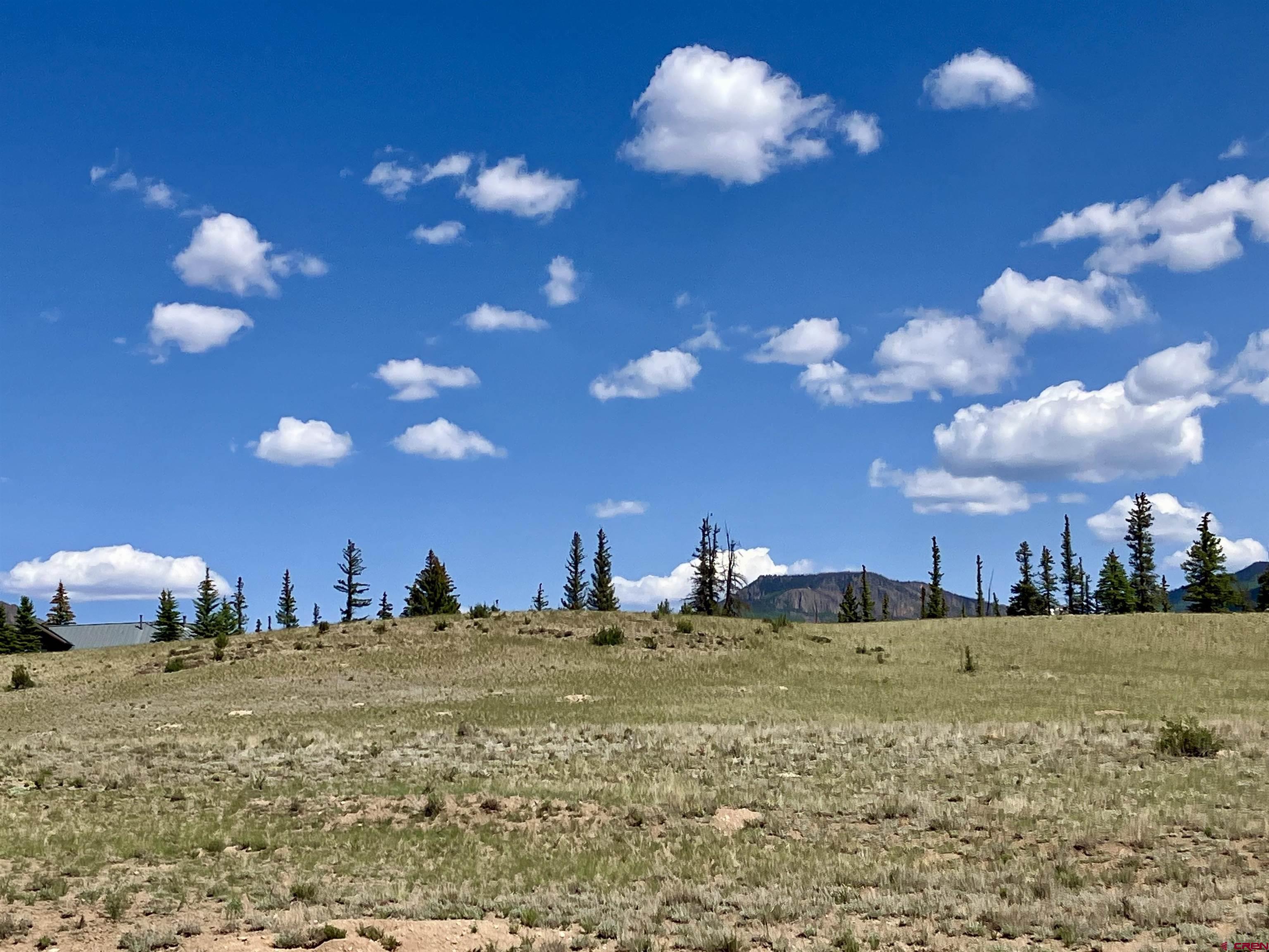 442 Deep Creek Road Creede, CO 81130 - Photo 4 of 45