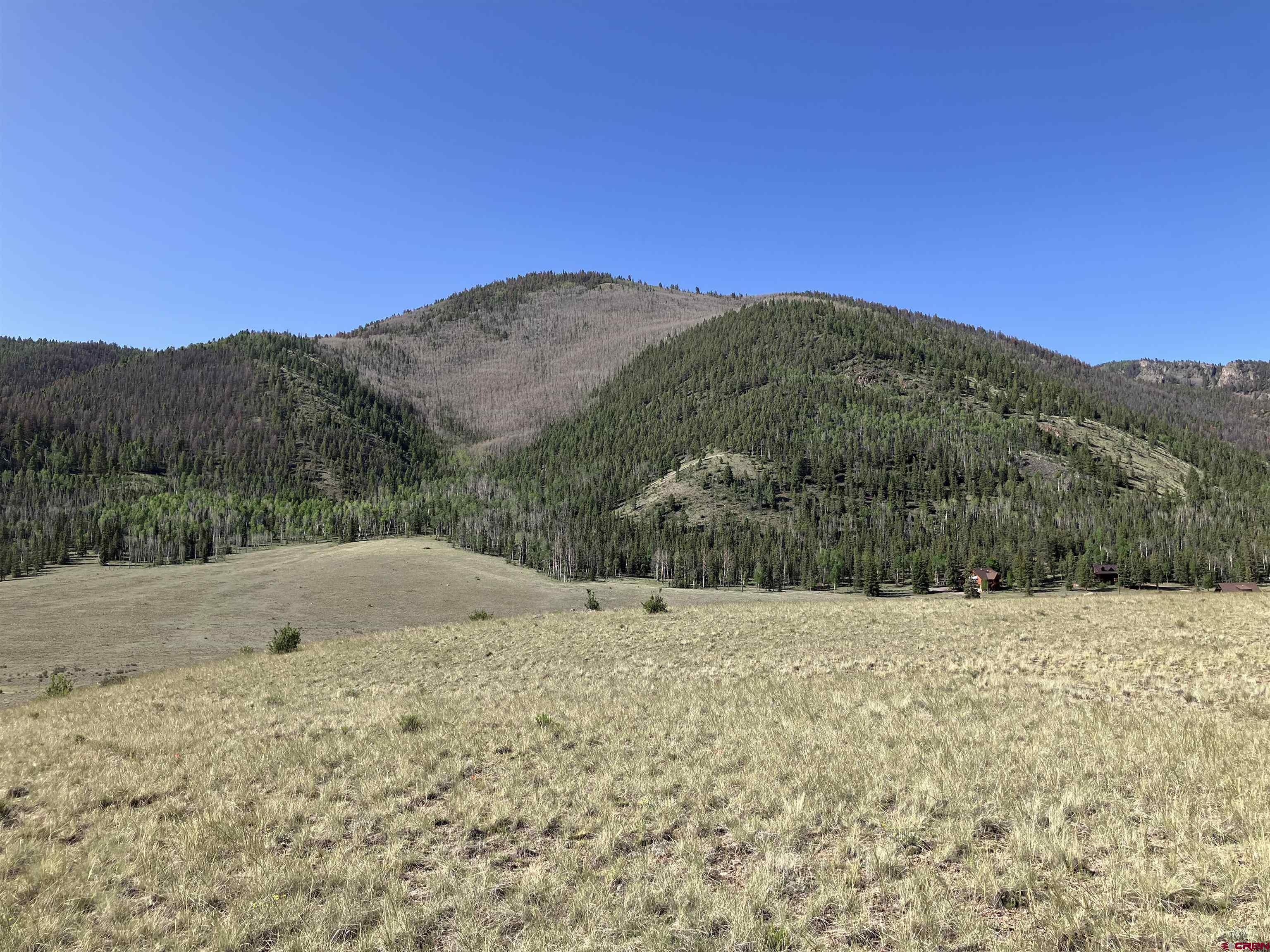 442 Deep Creek Road Creede, CO 81130 - Photo 42 of 45 a view of a dry yard with mountain