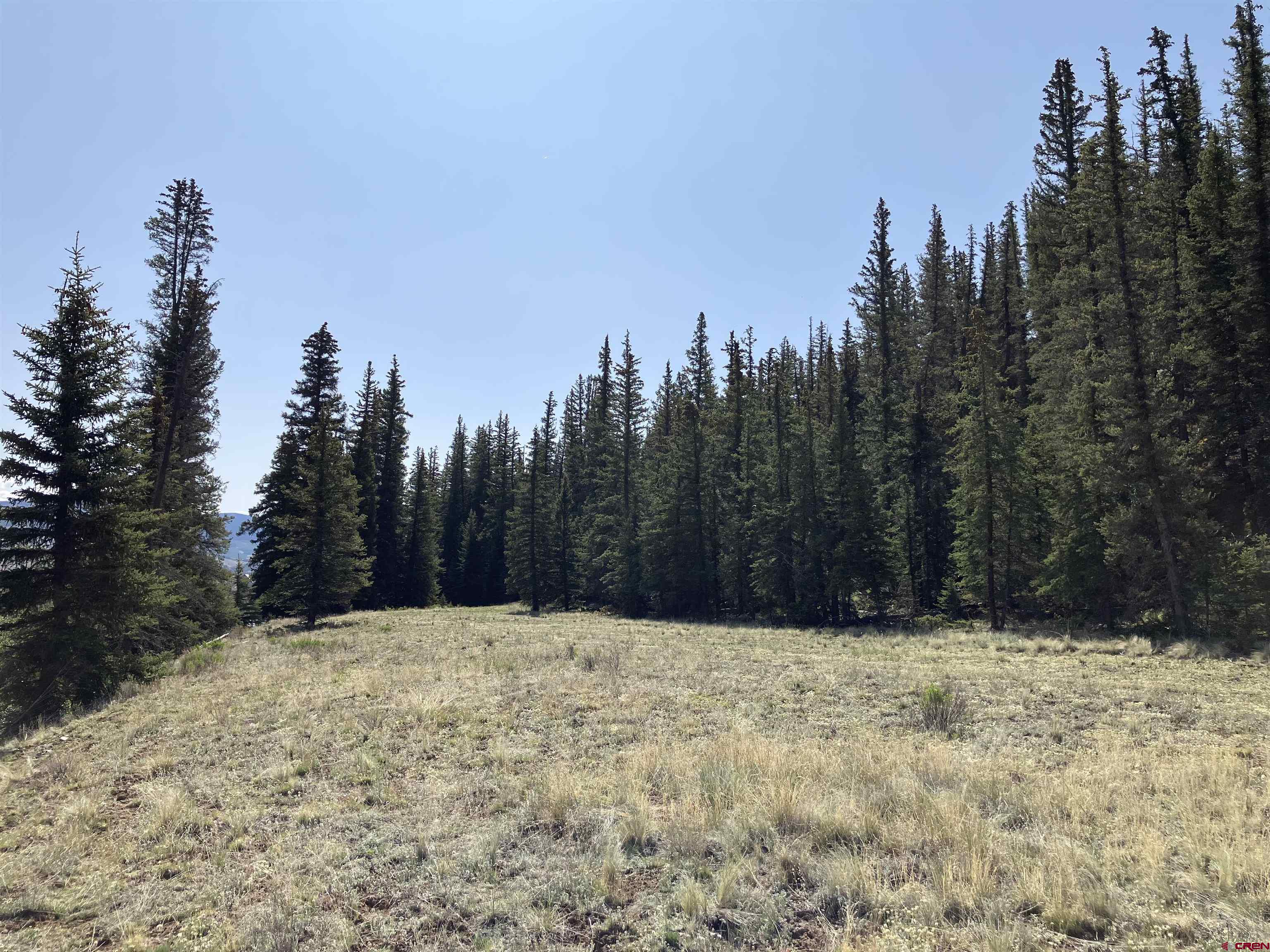 442 Deep Creek Road Creede, CO 81130 - Photo 9 of 45 a view of a yard covered with snow in the background