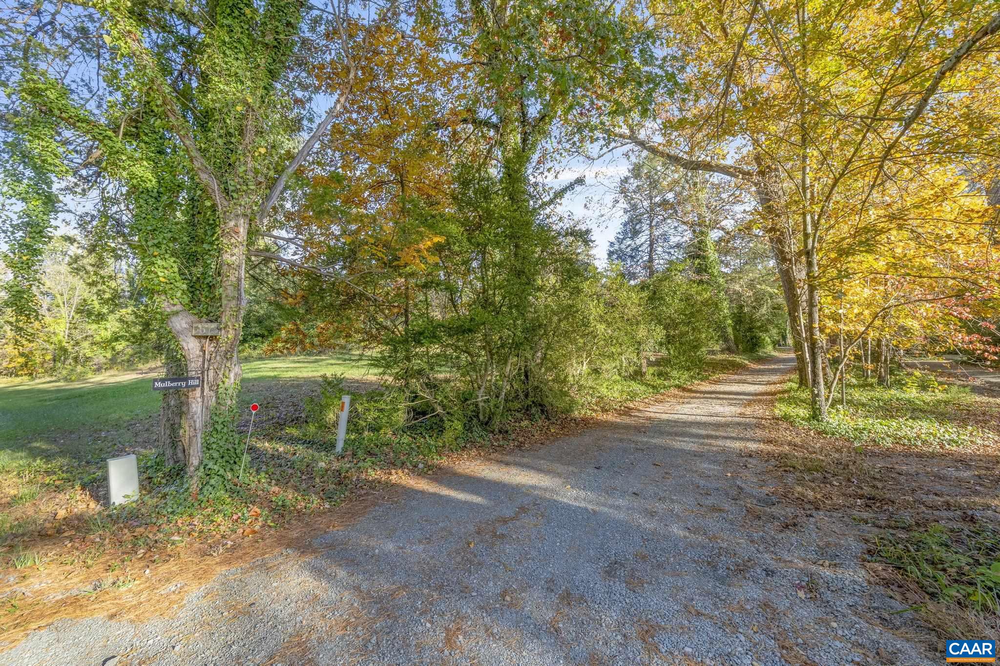5515 L Gordonsville Road Keswick, VA 22947 - Photo 14 of 25 a view of a yard with plants and trees