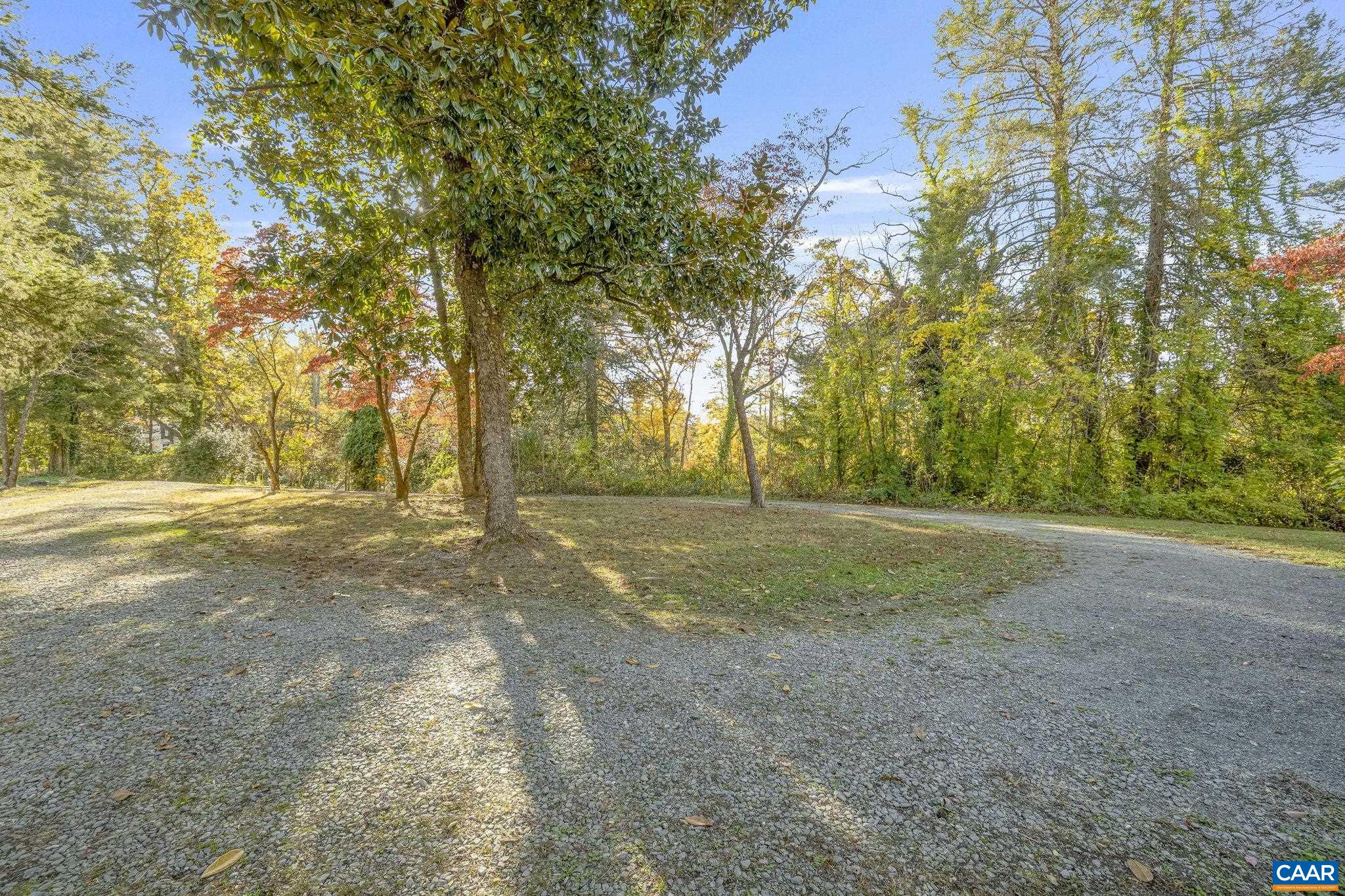 5515 L Gordonsville Road Keswick, VA 22947 - Photo 3 of 25 a view of dirt yard with a large tree