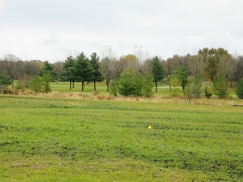 L124 Blue Victoria Sun Prairie Sun Prairie, WI 53590 - Photo 21 of 21