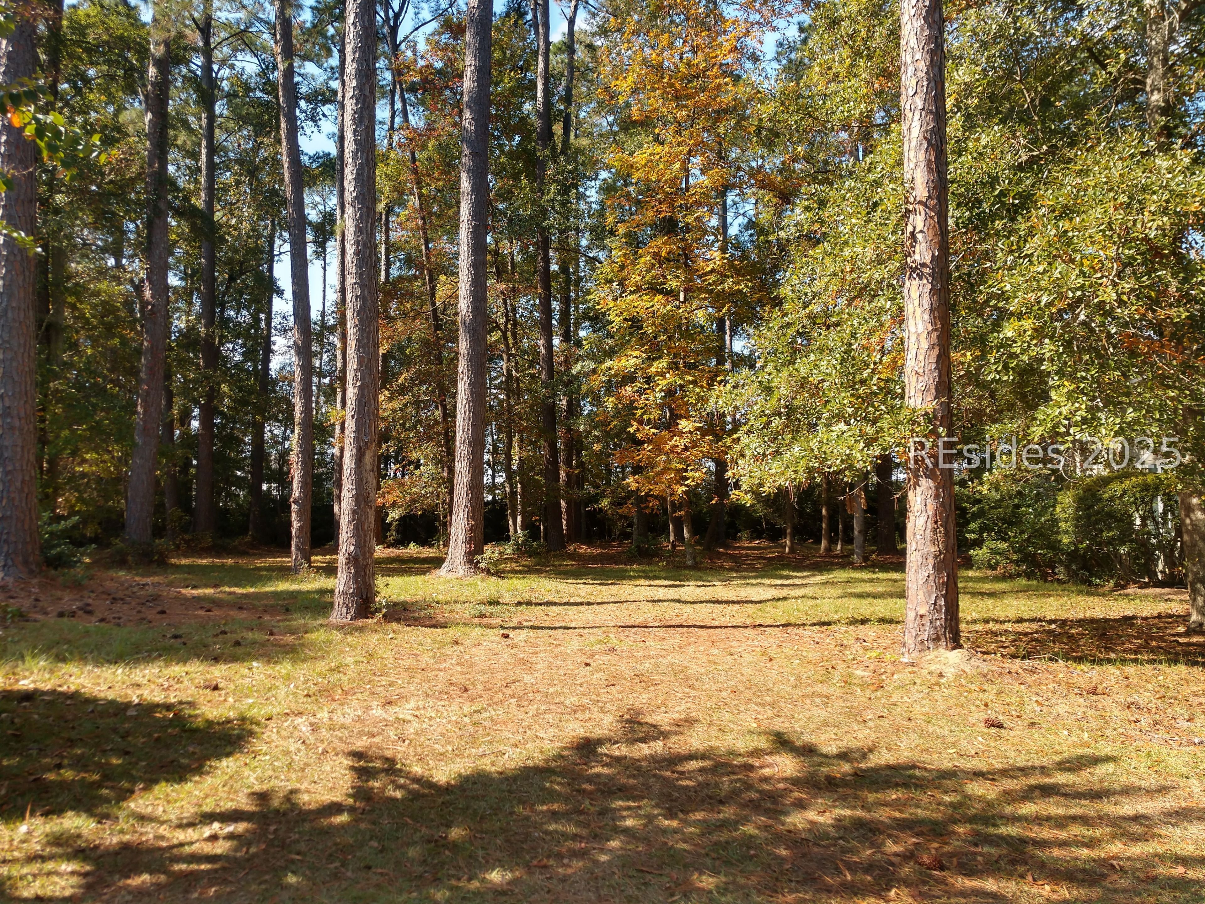 6 Oakland Place Bluffton, SC 29909 - Photo 4 of 30