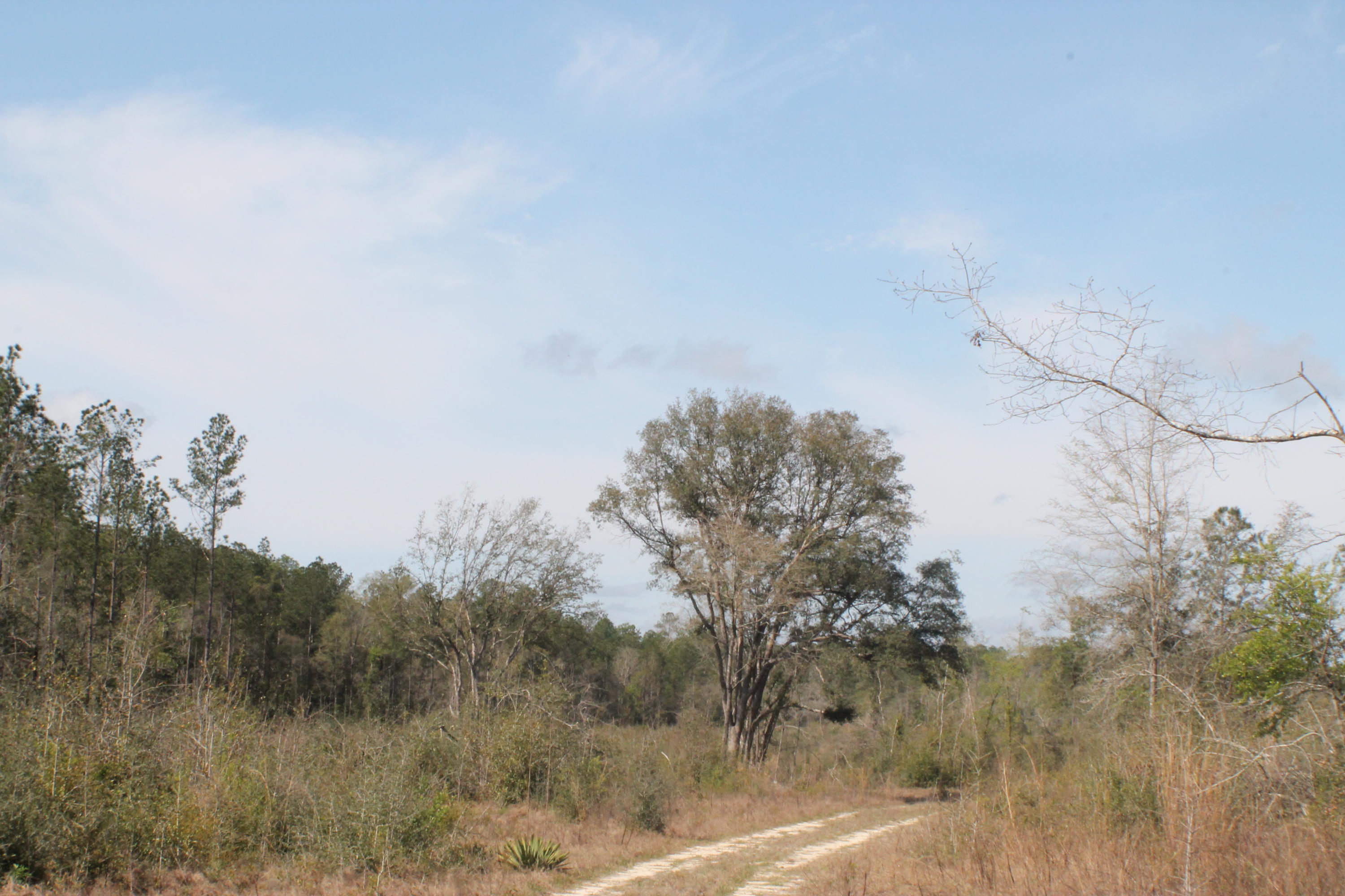 30-ac Poverty Creek Road Crestview, FL 32539 - Photo 1 of 7