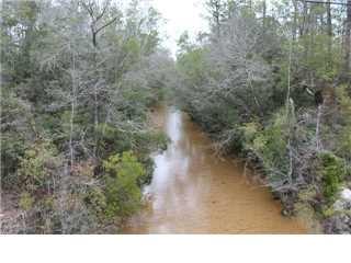30-ac Poverty Creek Road Crestview, FL 32539 - Photo 3 of 7 a black and white photo of a forest