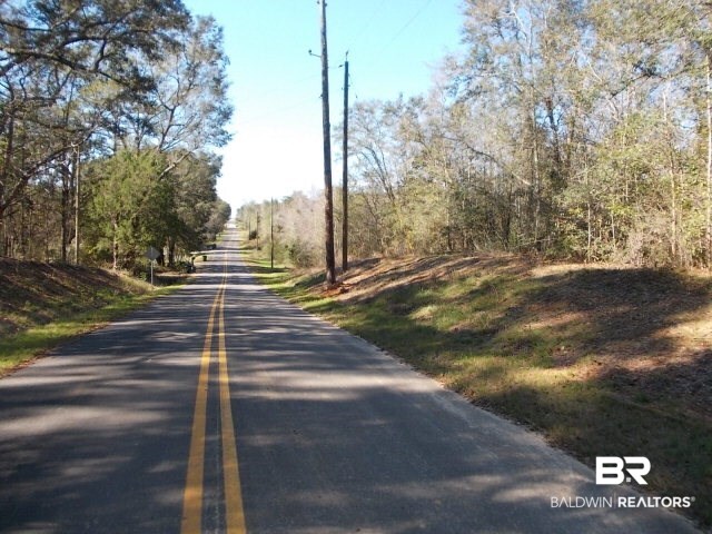 0 Camellia Road Robertsdale, AL 36567 - Photo 1 of 1