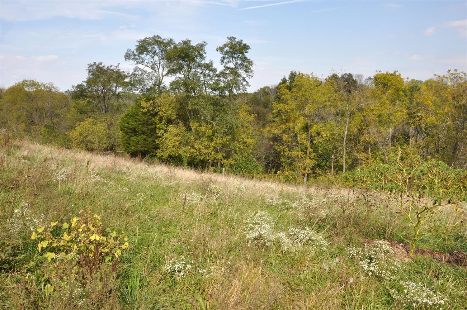 12646 Bowman Road Independence, KY 41051 - Photo 20 of 22 Gallery Image 20