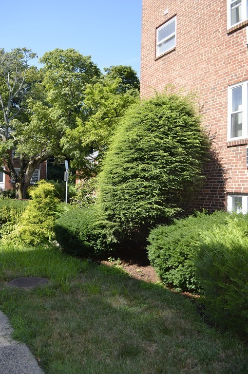 59 Colborne Road, Unit 5 Boston, MA 02135 - Photo 16 of 16 Gallery Image 16