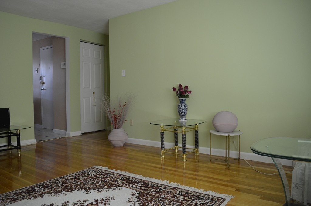 59 Colborne Road, Unit 5 Boston, MA 02135 - Photo 7 of 16 Gallery Image 7