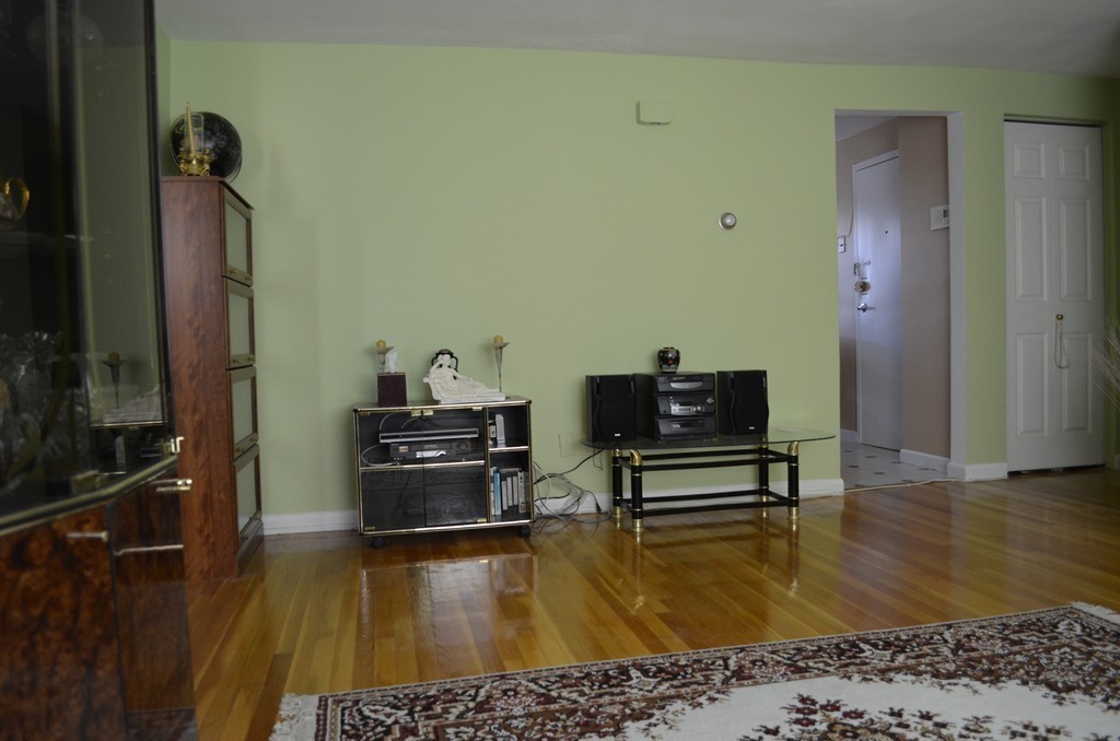 59 Colborne Road, Unit 5 Boston, MA 02135 - Photo 8 of 16 Gallery Image 8