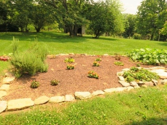 4113 Spring Hill Road Staunton, VA 24401 - Photo 31 of 49 a view of a yard with a large trees