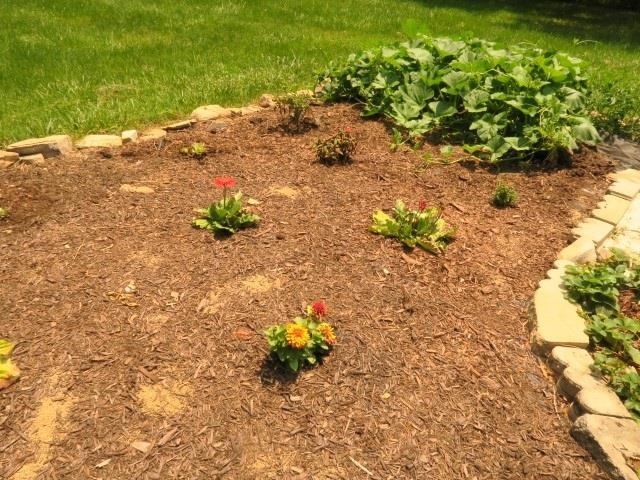 4113 Spring Hill Road Staunton, VA 24401 - Photo 32 of 49 a view of a yard with plants