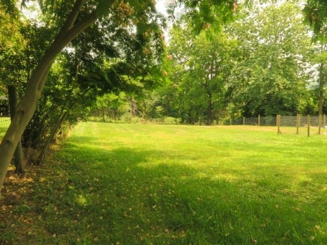 4113 Spring Hill Road Staunton, VA 24401 - Photo 38 of 49 a view of a green field with trees in the background