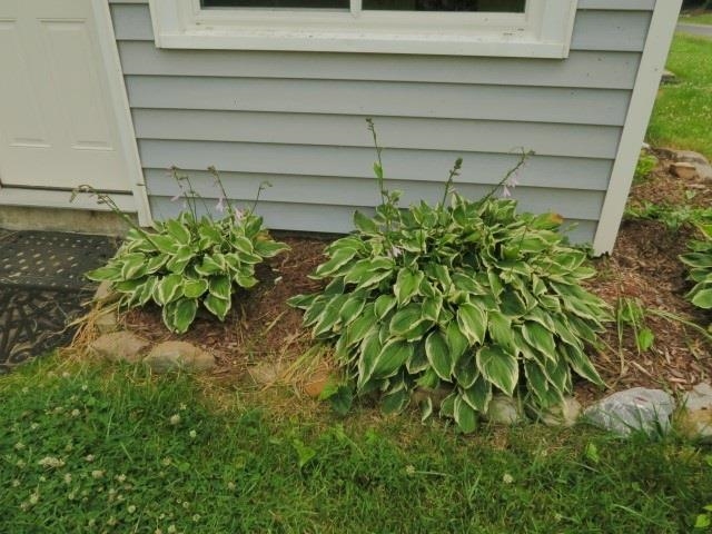 4113 Spring Hill Road Staunton, VA 24401 - Photo 4 of 49 a view of a garden