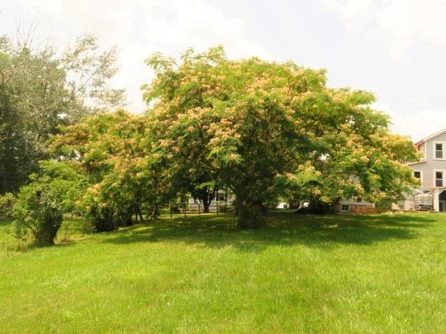 4113 Spring Hill Road Staunton, VA 24401 - Photo 44 of 49 a view of a yard