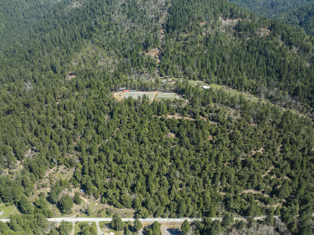550 Terrace Heights Road Selma, OR 97538 - Photo 15 of 26 DJI_0013