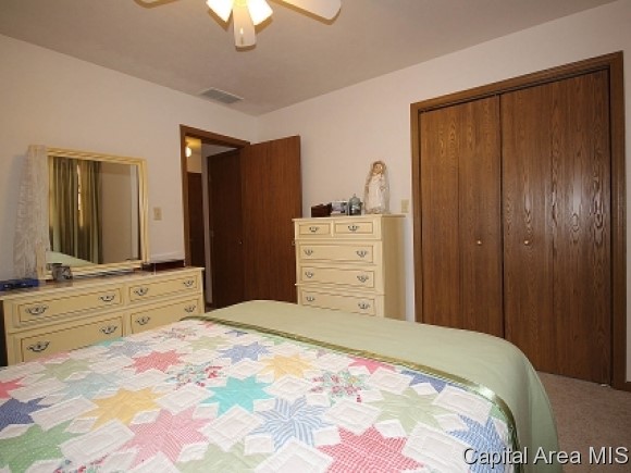 120 Post Road Virden, IL 62690 - Photo 11 of 19