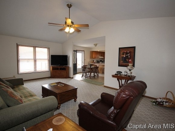 120 Post Road Virden, IL 62690 - Photo 3 of 19