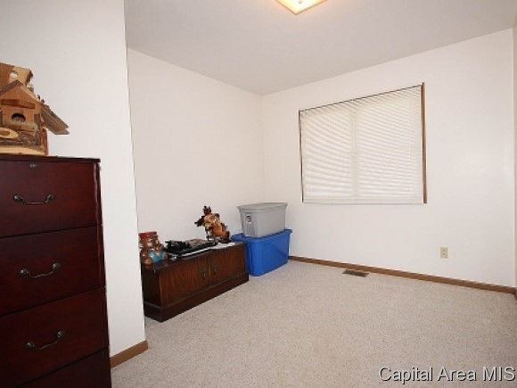 120 Post Road Virden, IL 62690 - Photo 9 of 19