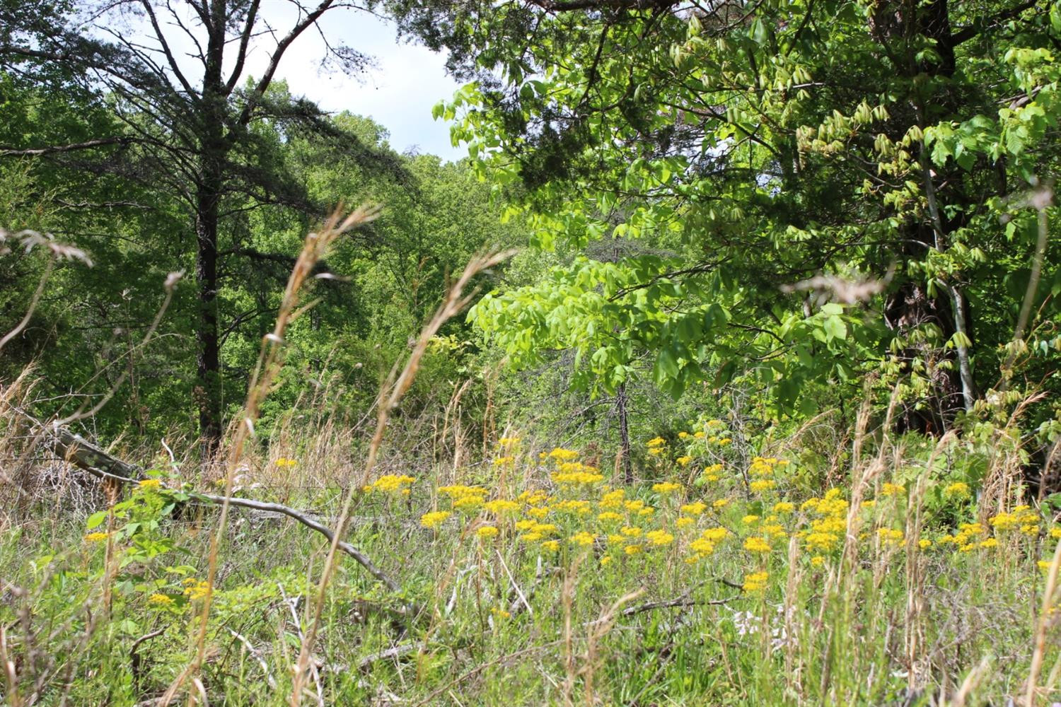 2010 Pryse Road Irvine, KY 40336 - Photo 21 of 56 Photo 21