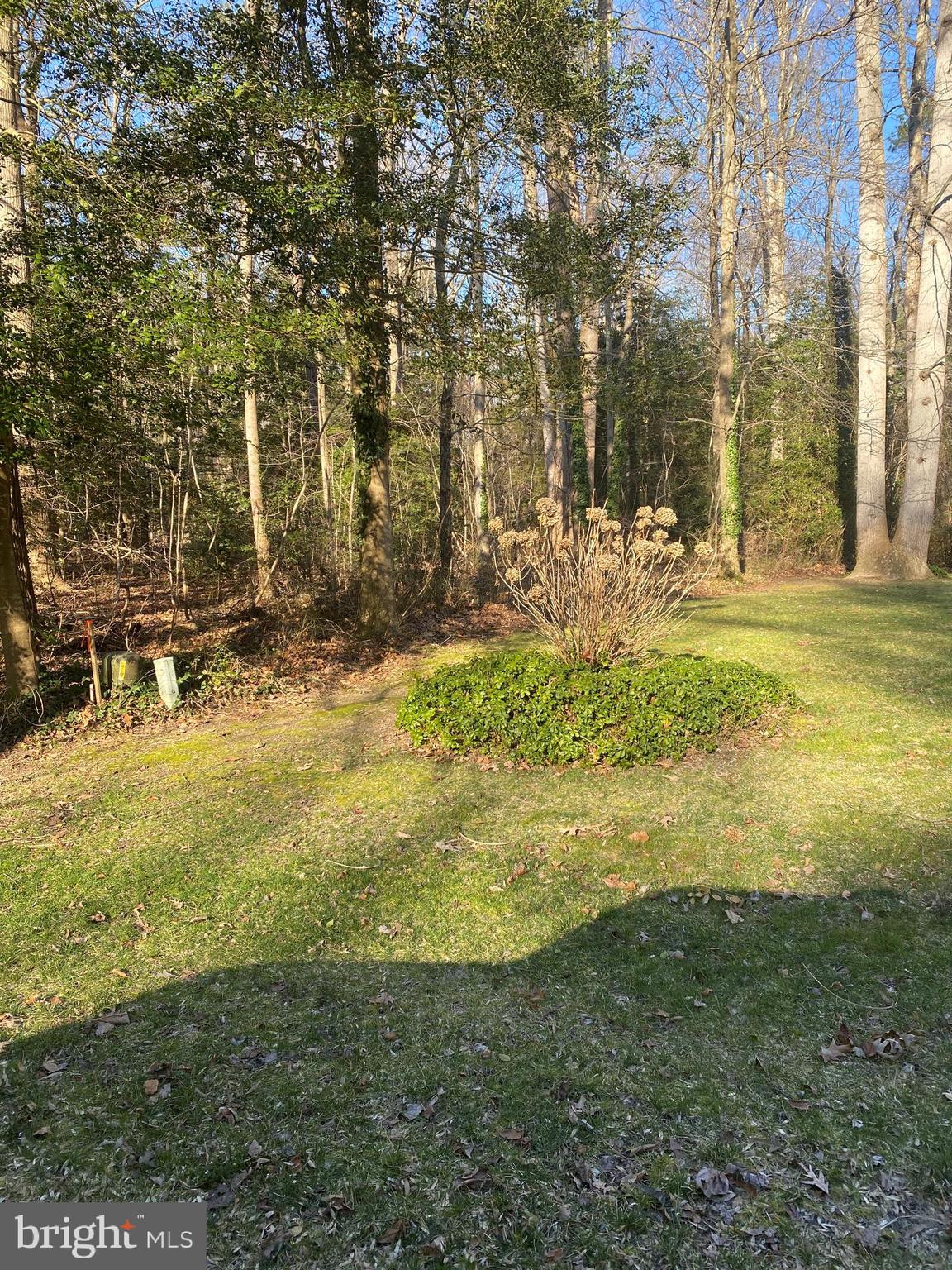 289 Pond Road Millsboro, DE 19966 - Photo 5 of 7 Gallery Image 5