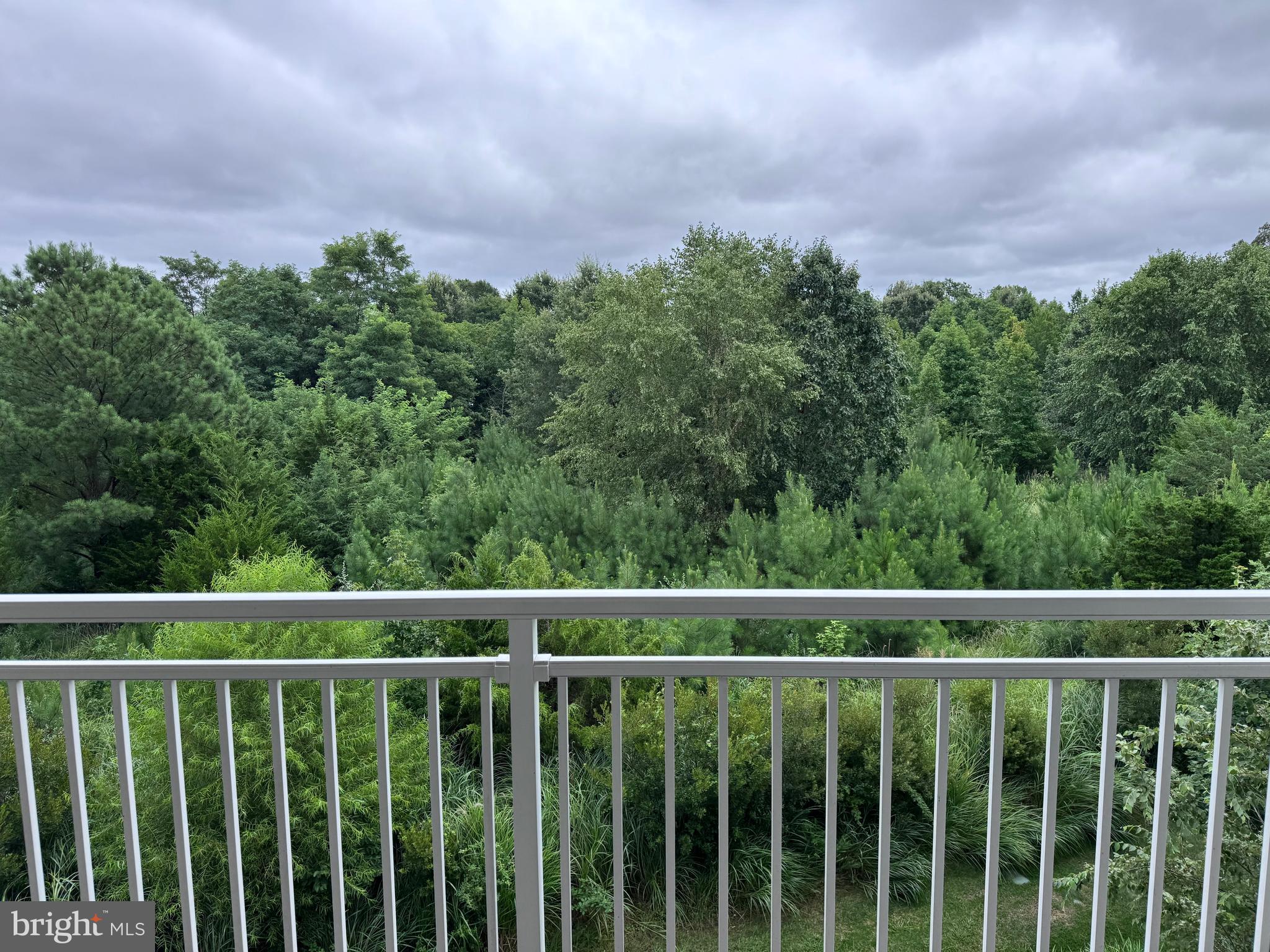 1000 Herons Nest Way, Unit 32 Chester, MD 21619 - Photo 8 of 28 a view of a balcony with a garden