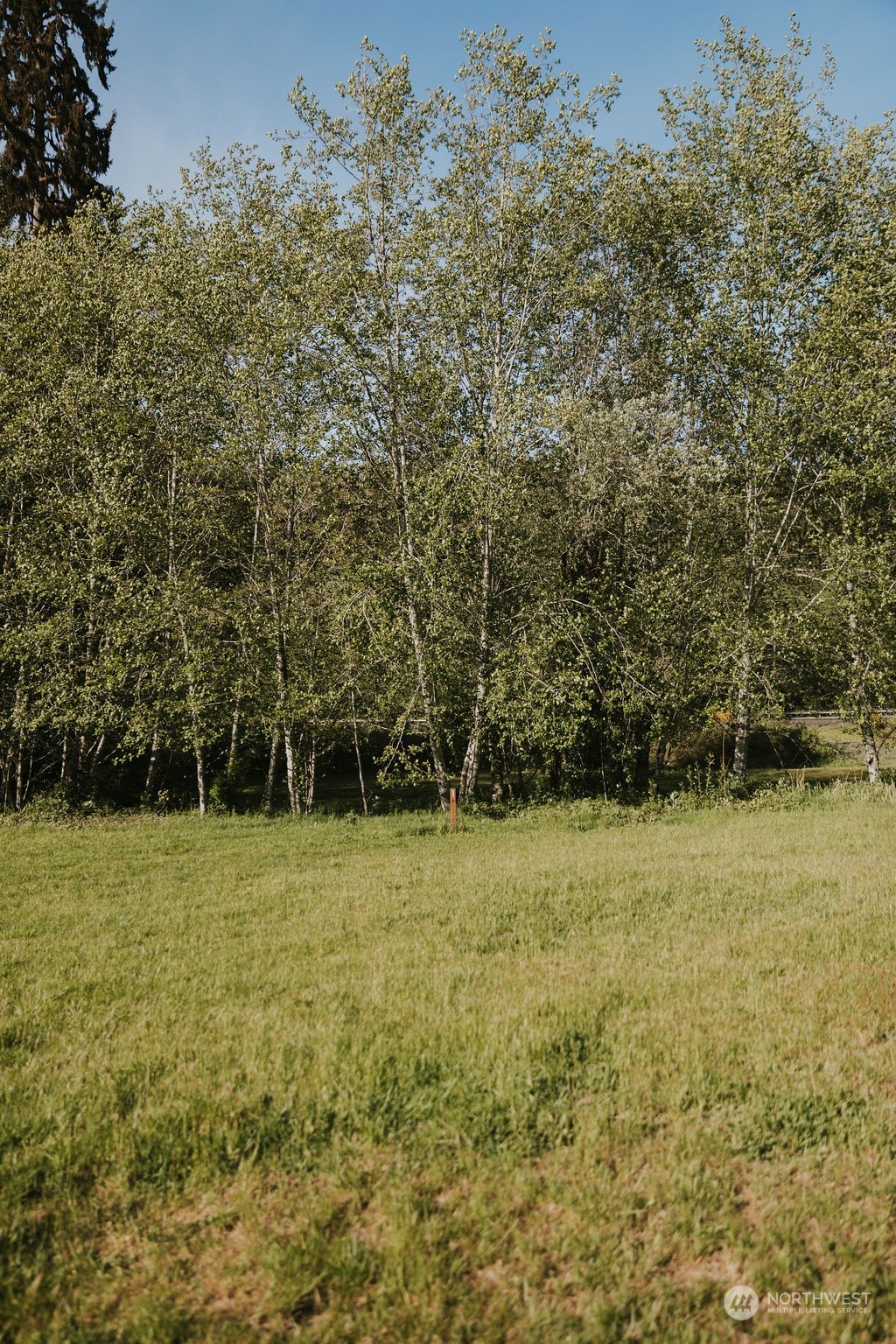 0 Smith Rd Forks Forks, WA 98331 - Photo 2 of 26 a view of a field with trees in front of it
