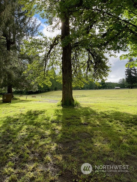 0 Smith Rd Forks Forks, WA 98331 - Photo 25 of 26 a view of a field with an trees