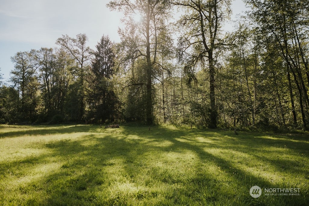 0 Smith Rd Forks Forks, WA 98331 - Photo 4 of 26 a view of a field with trees