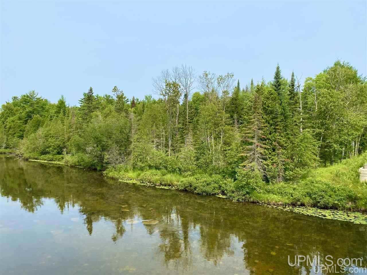 Tbd Asp Road Manistique, MI 49854 - Photo 1 of 18 Gallery Image 1