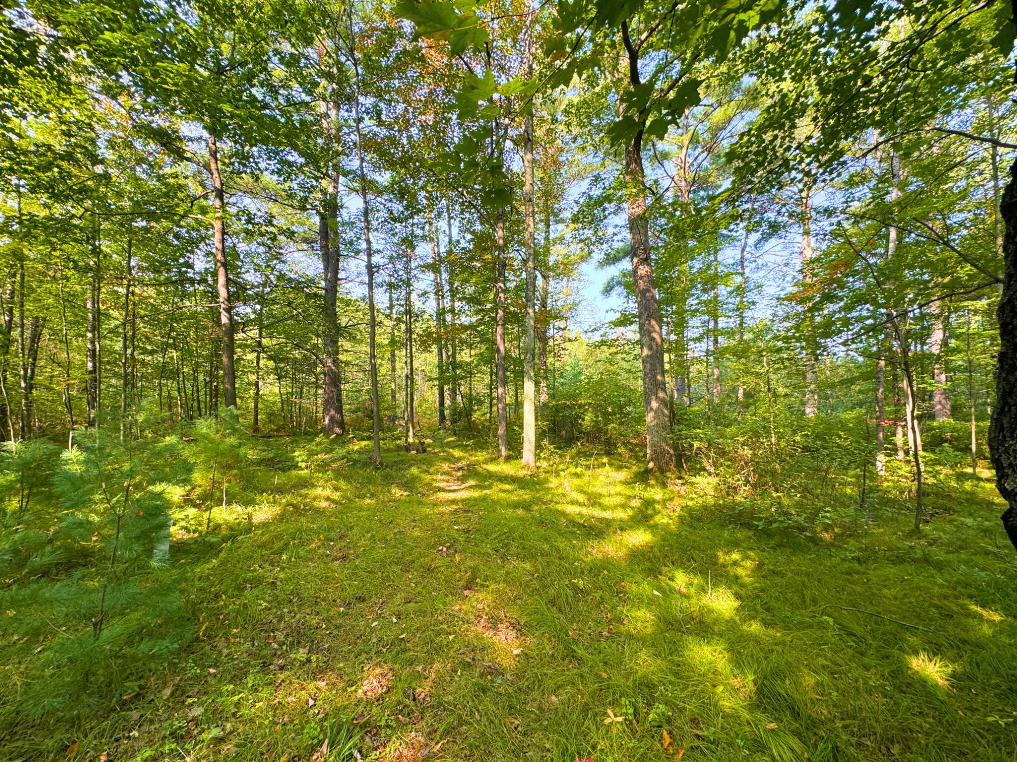3775 Sleepy Hollow Road Rhinelander, WI 54501 - Photo 19 of 21 Gallery Image 19