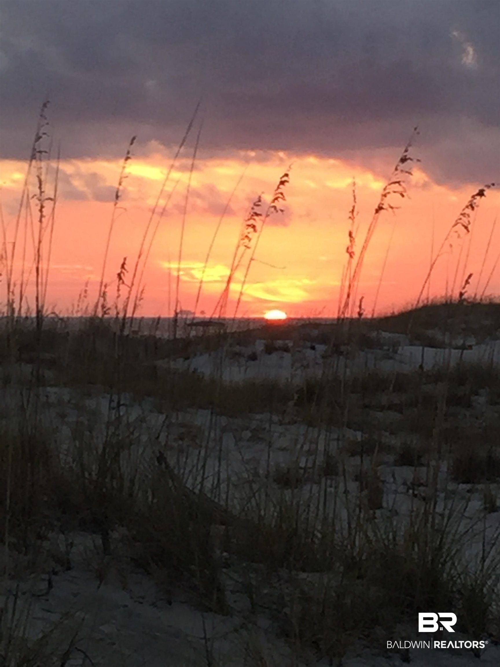 1380 Fort Morgan Road, Unit 106 Gulf Shores, AL 36542 - Photo 16 of 20 View of nature at dusk