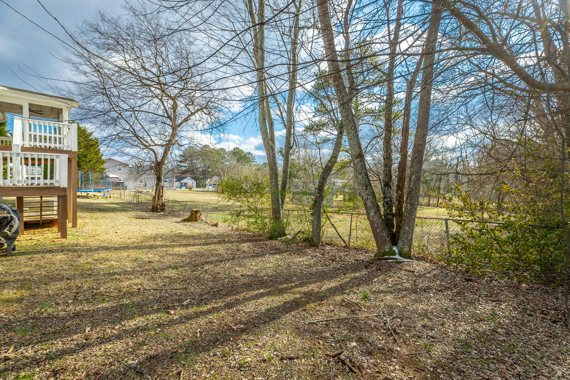 8070 Dudley Road Chattanooga, TN 37421 - Photo 29 of 33 Pretty Trees for Privacy