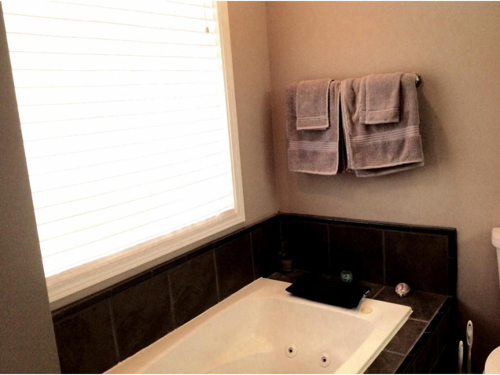 275 Shipley Road Gray, TN 37615 - Photo 20 of 36 Master BA Jetted Tub