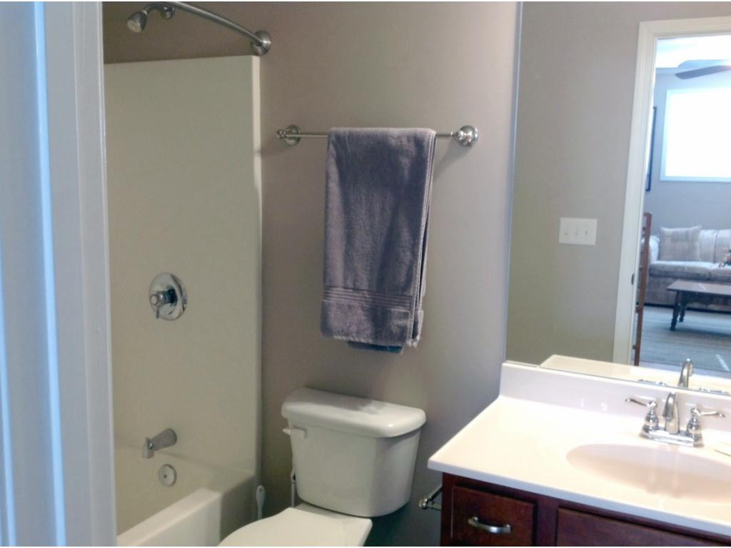 275 Shipley Road Gray, TN 37615 - Photo 27 of 36 Lower Level Bath