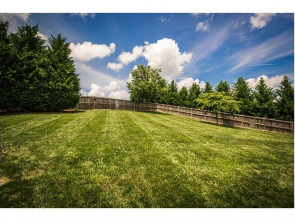 275 Shipley Road Gray, TN 37615 - Photo 33 of 36 Backyard
