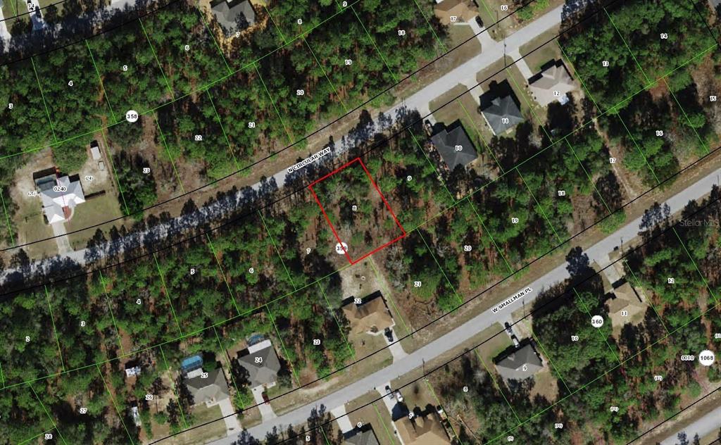 8699 North Circular Way  