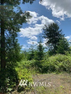22926 Northwest Ruger Place Poulsbo, WA 98370 - Photo 10 of 15 Gallery Image 10