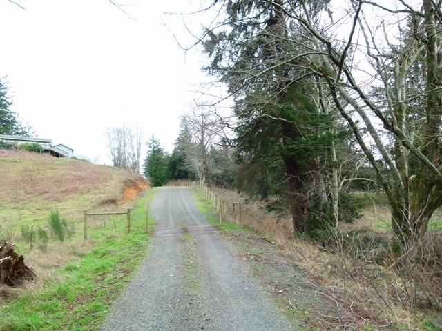 Tl#1009 Bel Air Road Cloverdale, OR 97112 - Photo 6 of 20 P1080331