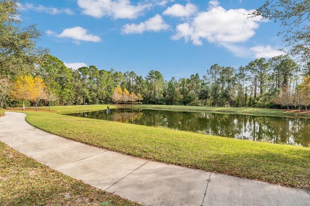 12880 Westside Vlg Loop Windermere, FL 34786 - Photo 17 of 42 a view of lake