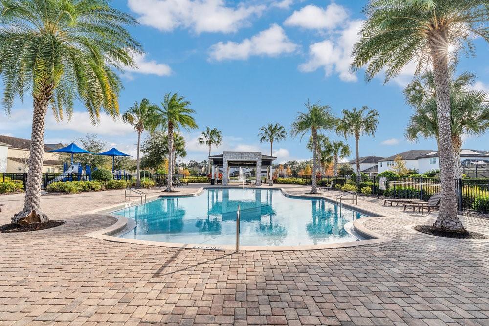 12880 Westside Vlg Loop Windermere, FL 34786 - Photo 5 of 42 a view of a swimming pool with a lounge chair and palm trees
